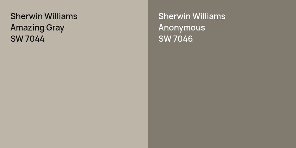 Sherwin Williams Amazing Gray vs. Sherwin Williams Anonymous