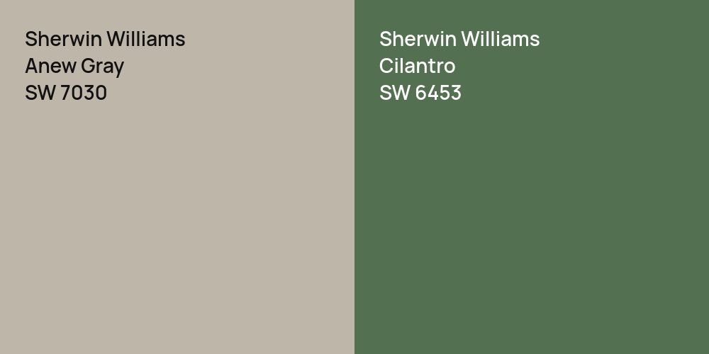 Sherwin Williams Anew Gray vs. Sherwin Williams Cilantro