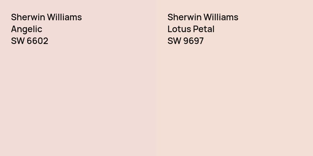 Sherwin Williams Angelic vs. Sherwin Williams Lotus Petal