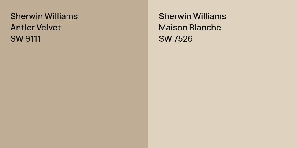 Sherwin Williams Antler Velvet vs. Sherwin Williams Maison Blanche