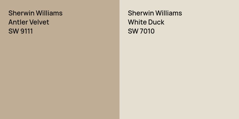 Sherwin Williams Antler Velvet vs. Sherwin Williams White Duck