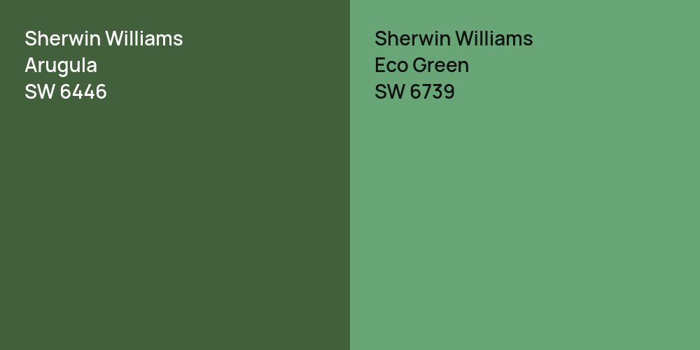 Sherwin Williams Arugula vs. Sherwin Williams Eco Green