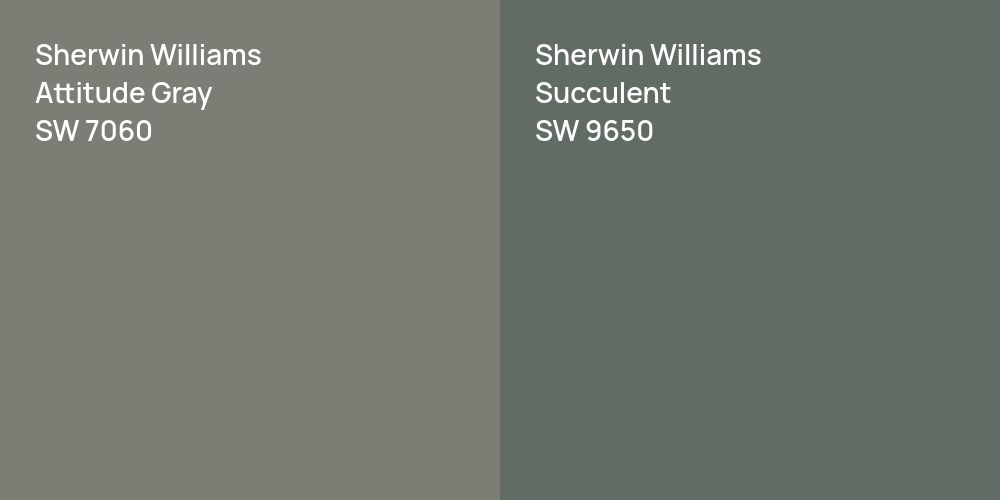 Sherwin Williams Attitude Gray vs. Sherwin Williams Succulent