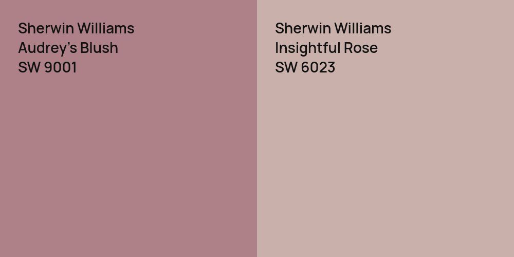 Sherwin Williams Audrey's Blush vs. Sherwin Williams Insightful Rose