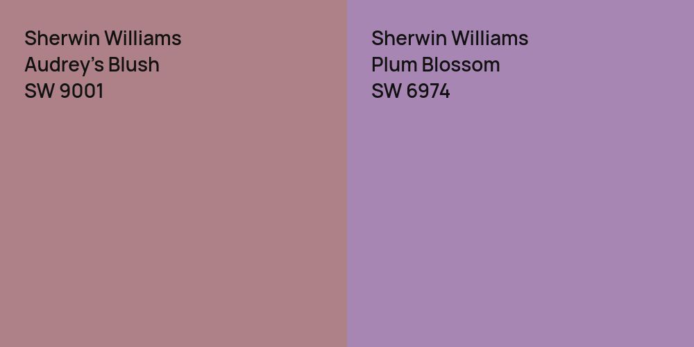 Sherwin Williams Audrey's Blush vs. Sherwin Williams Plum Blossom