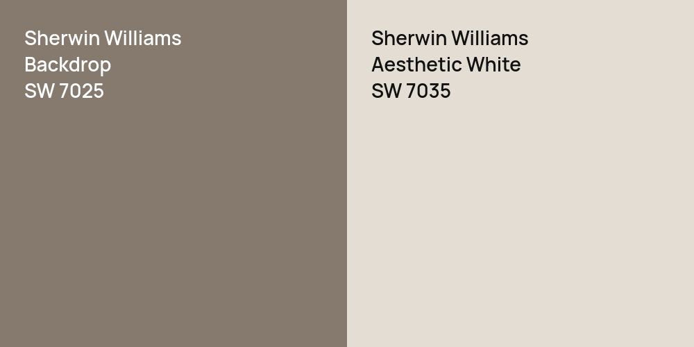 Sherwin Williams Backdrop vs. Sherwin Williams Aesthetic White