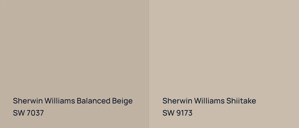 Sherwin Williams Balanced Beige SW 7037 vs Sherwin Williams Shiitake SW 9173