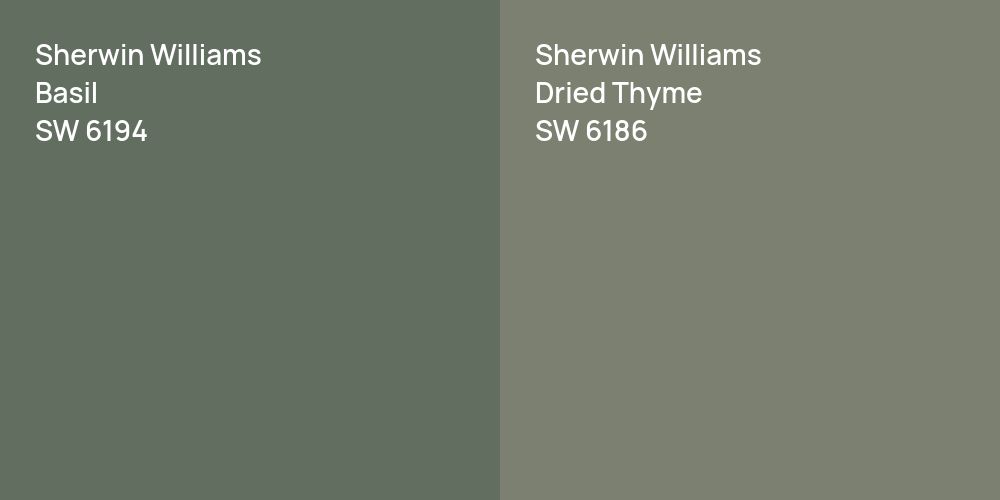 Sherwin Williams Basil vs. Sherwin Williams Dried Thyme