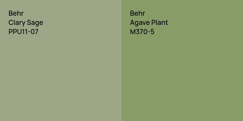 Behr Clary Sage vs. Behr Agave Plant