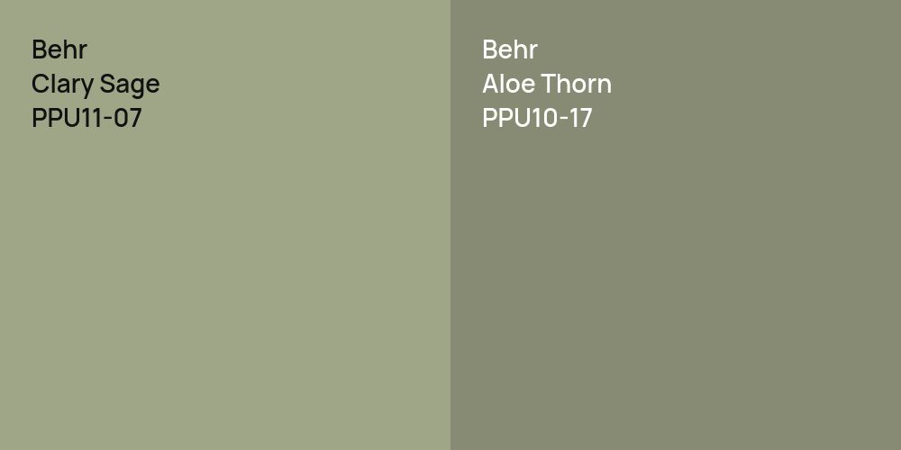 Behr Clary Sage vs. Behr Aloe Thorn