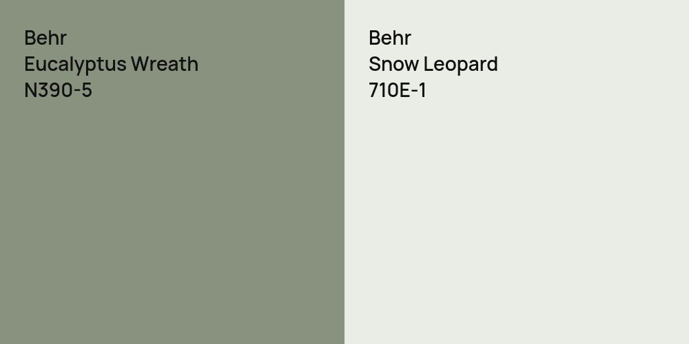 Behr Eucalyptus Wreath vs. Behr Snow Leopard