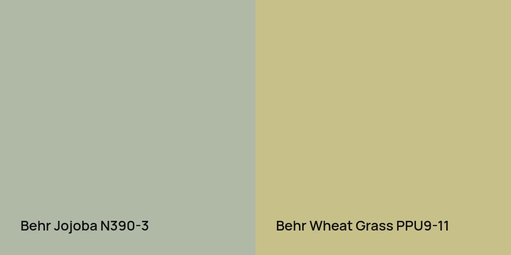 Behr Jojoba vs. Behr Wheat Grass