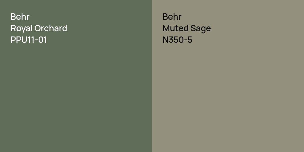 Behr Royal Orchard vs. Behr Muted Sage