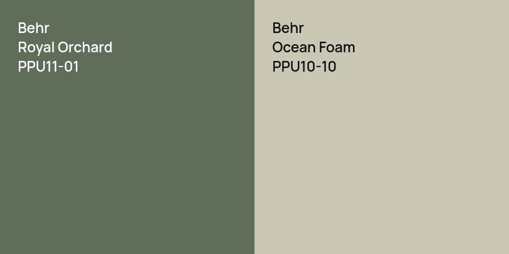 Behr Royal Orchard vs. Behr Ocean Foam