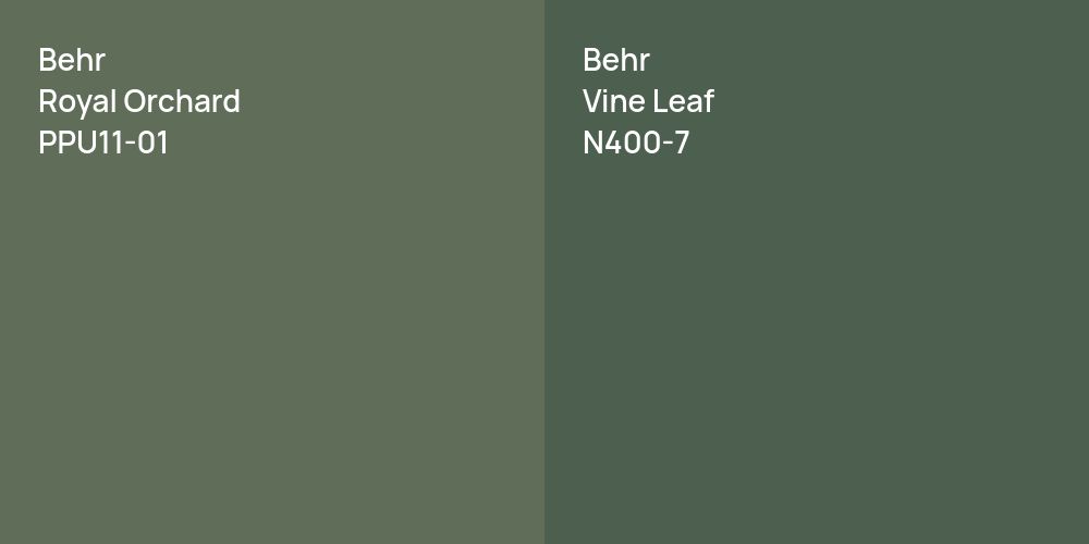 Behr Royal Orchard vs. Behr Vine Leaf