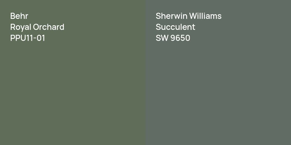 Behr Royal Orchard vs. Sherwin Williams Succulent