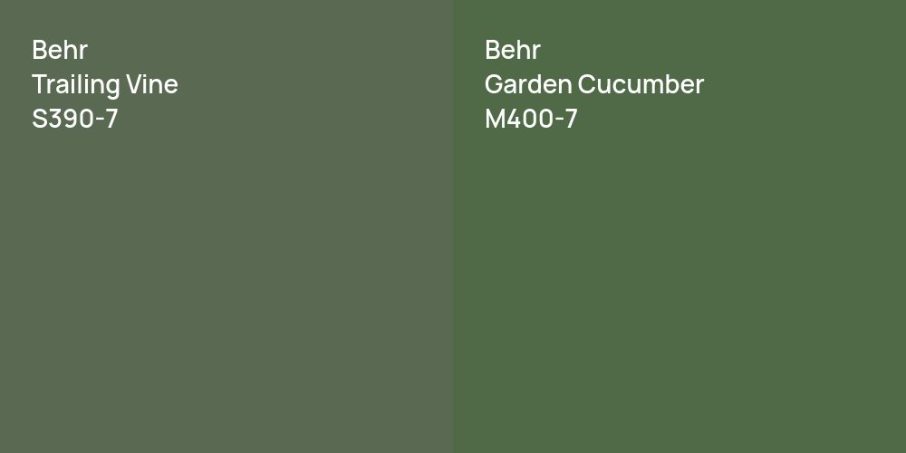 Behr Trailing Vine vs. Behr Garden Cucumber