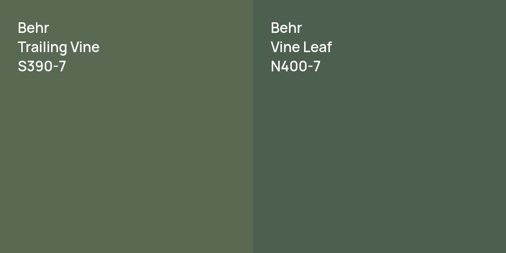 Behr Trailing Vine vs. Behr Vine Leaf