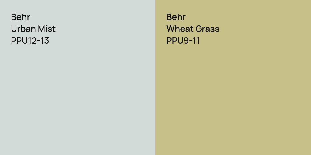 Behr Urban Mist vs. Behr Wheat Grass