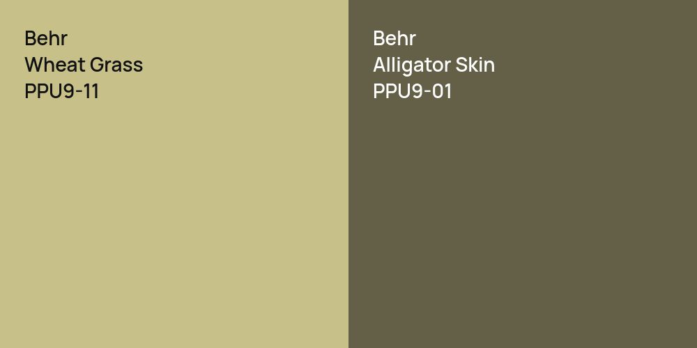 Behr Wheat Grass vs. Behr Alligator Skin