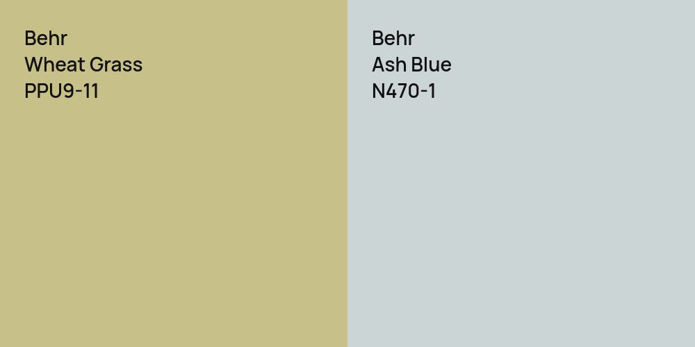 Behr Wheat Grass vs. Behr Ash Blue