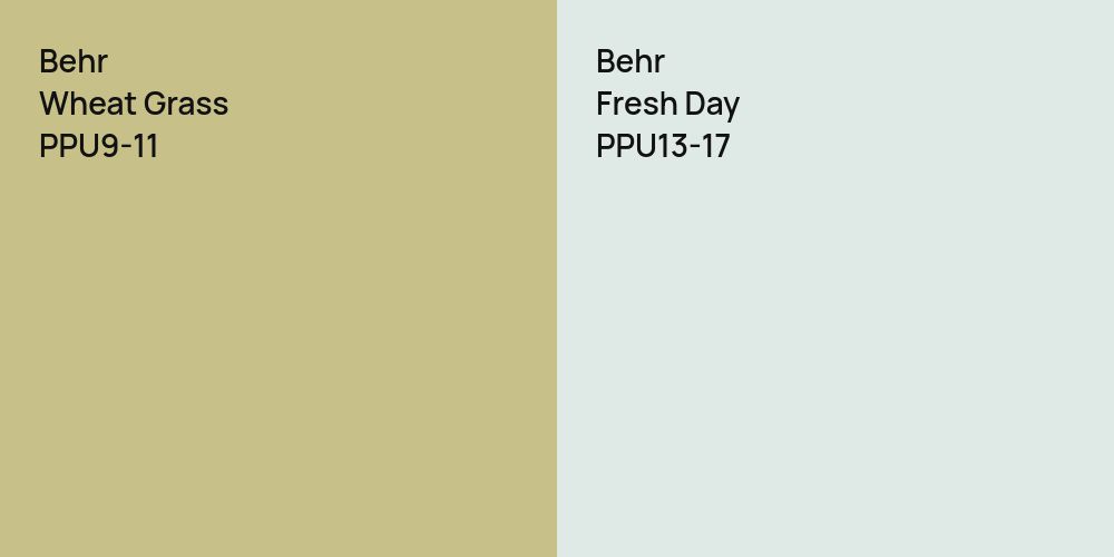 Behr Wheat Grass vs. Behr Fresh Day