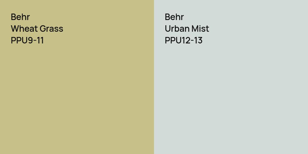 Behr Wheat Grass vs. Behr Urban Mist