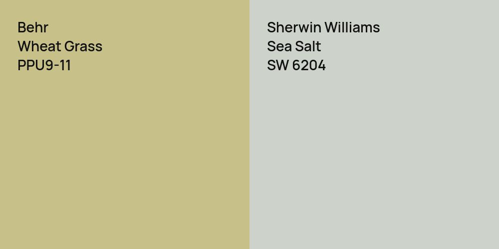 Behr Wheat Grass vs. Sherwin Williams Sea Salt