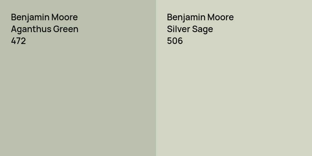 Benjamin Moore Aganthus Green vs. Benjamin Moore Silver Sage