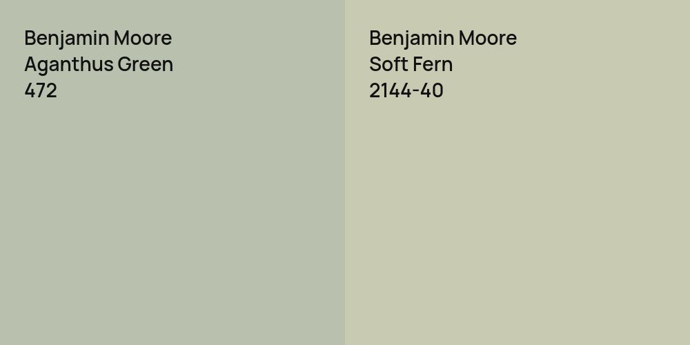 Benjamin Moore Aganthus Green vs. Benjamin Moore Soft Fern