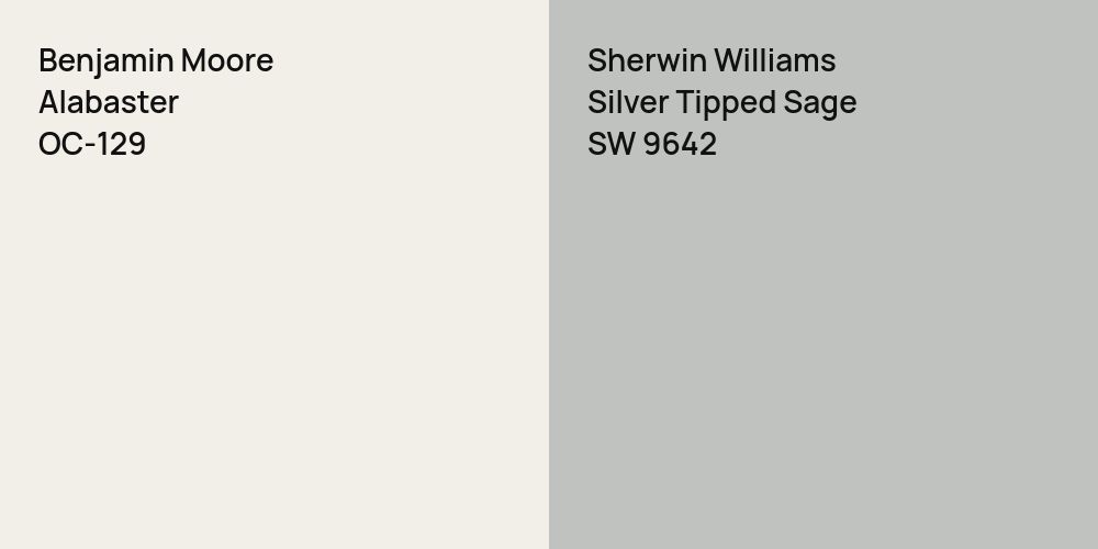 Benjamin Moore Alabaster vs. Sherwin Williams Silver Tipped Sage