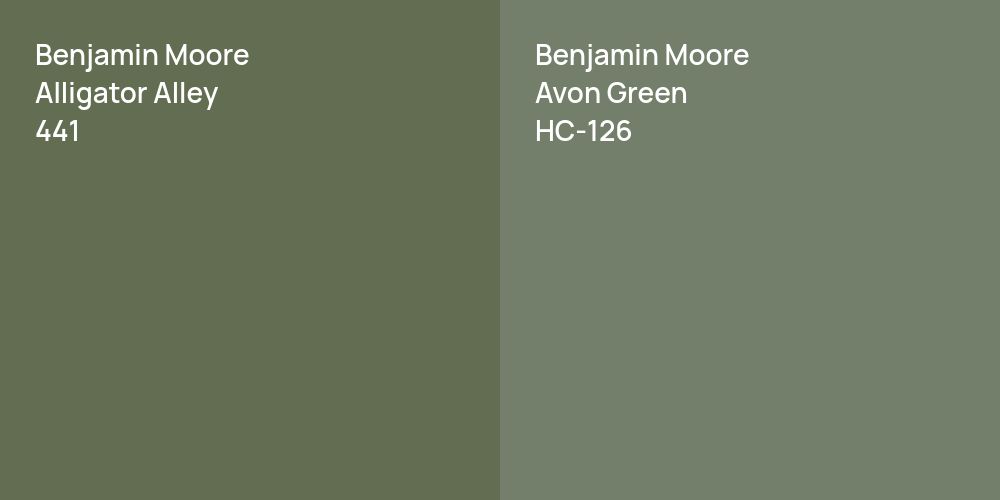 Benjamin Moore Alligator Alley vs. Benjamin Moore Avon Green