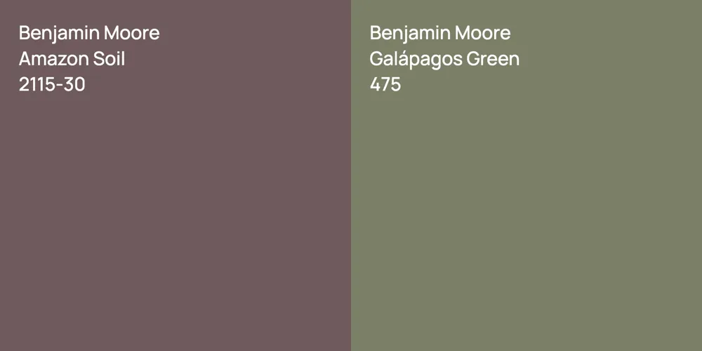 Benjamin Moore Amazon Soil vs. Benjamin Moore Galápagos Green