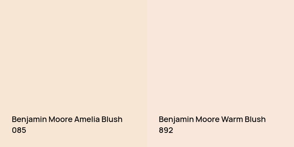 Benjamin Moore Amelia Blush vs. Benjamin Moore Warm Blush