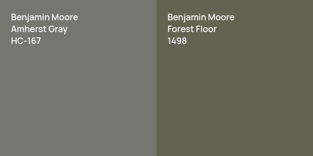 Benjamin Moore Amherst Gray vs. Benjamin Moore Forest Floor