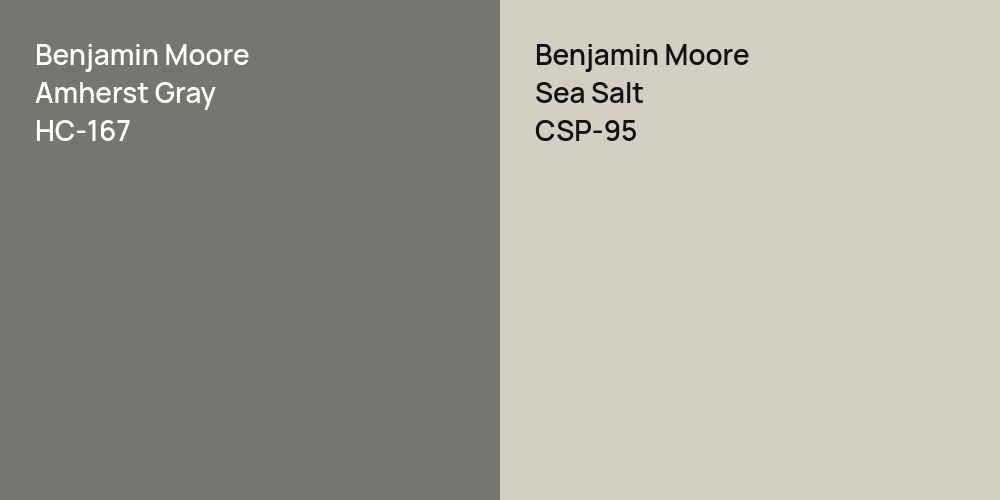 Benjamin Moore Amherst Gray vs. Benjamin Moore Sea Salt