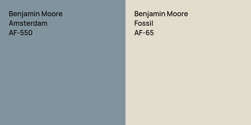 Benjamin Moore Amsterdam vs. Benjamin Moore Fossil