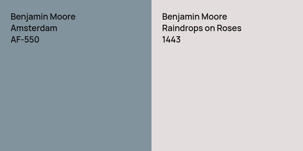 Benjamin Moore Amsterdam vs. Benjamin Moore Raindrops on Roses