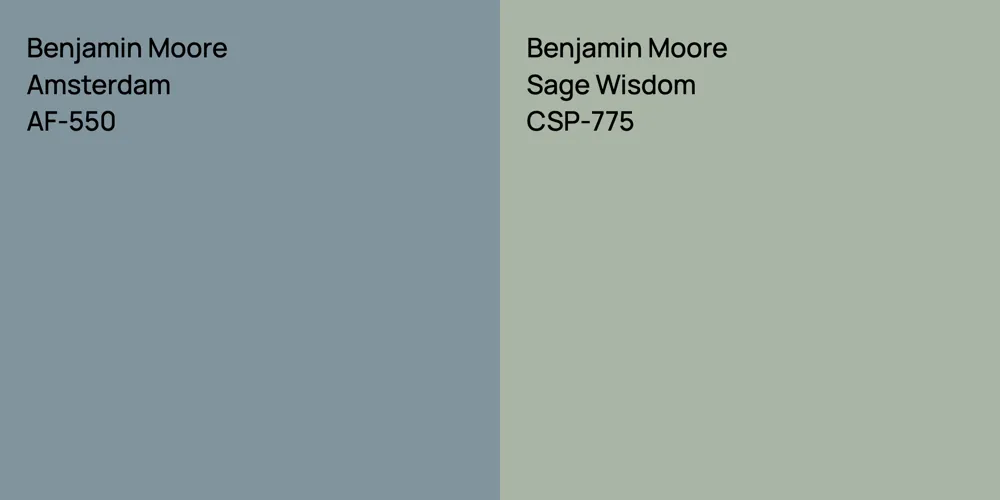 Benjamin Moore Amsterdam vs. Benjamin Moore Sage Wisdom