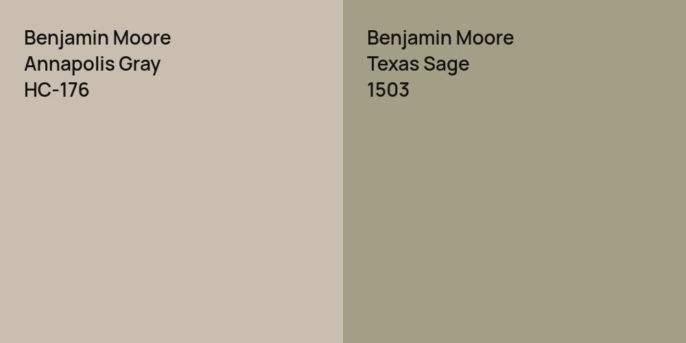 Benjamin Moore Annapolis Gray vs. Benjamin Moore Texas Sage