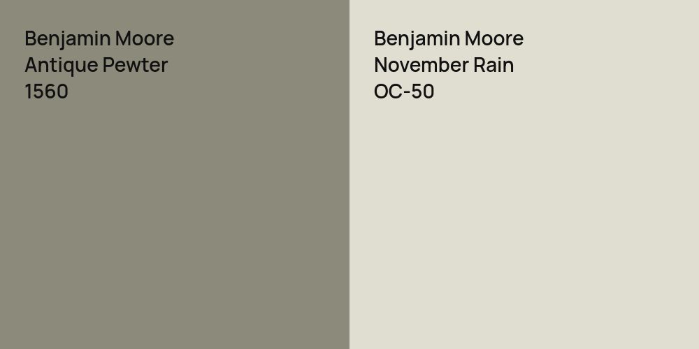 Benjamin Moore Antique Pewter vs. Benjamin Moore November Rain