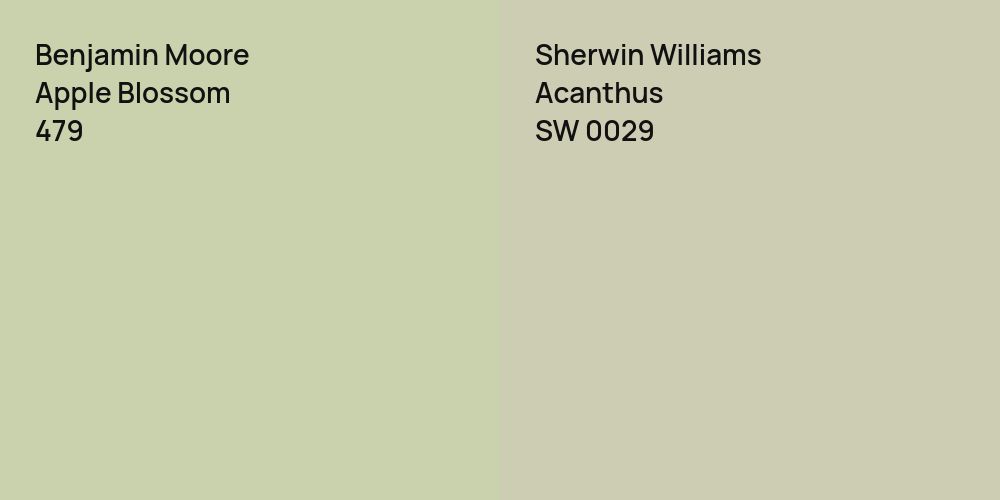 Benjamin Moore Apple Blossom vs. Sherwin Williams Acanthus