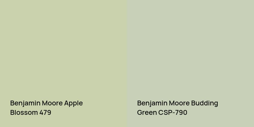 Benjamin Moore Apple Blossom vs. Benjamin Moore Budding Green