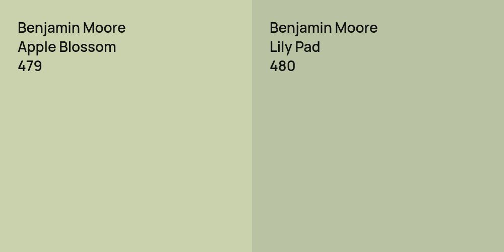 Benjamin Moore Apple Blossom vs. Benjamin Moore Lily Pad