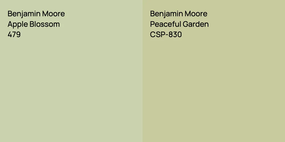 Benjamin Moore Apple Blossom vs. Benjamin Moore Peaceful Garden