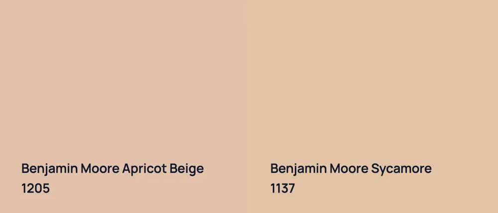 Benjamin Moore Apricot Beige 1205 vs Benjamin Moore Sycamore 1137
