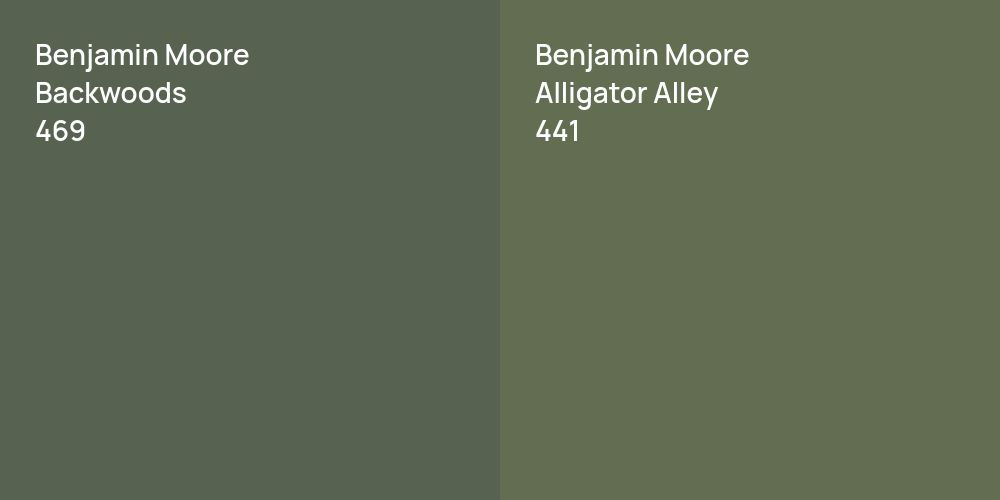 Benjamin Moore Backwoods vs. Benjamin Moore Alligator Alley