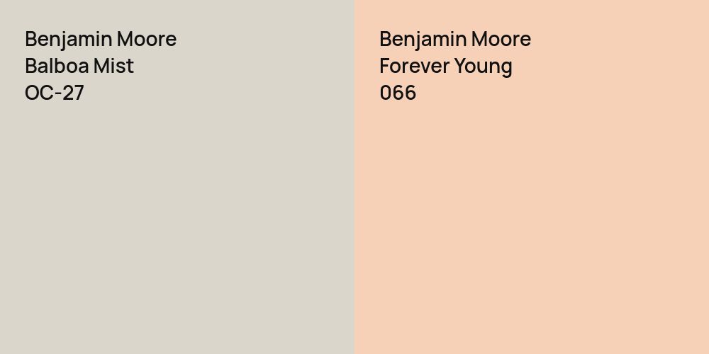 Benjamin Moore Balboa Mist vs. Benjamin Moore Forever Young