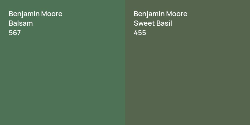 Benjamin Moore Balsam vs. Benjamin Moore Sweet Basil