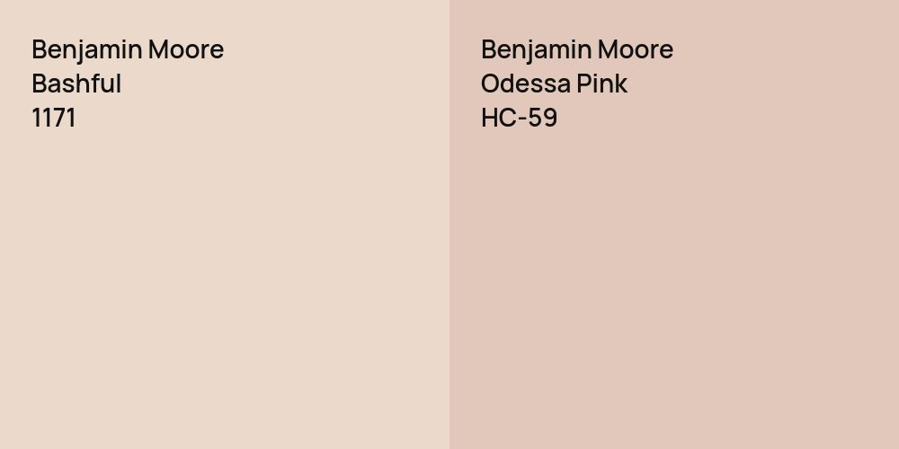 Benjamin Moore Bashful vs. Benjamin Moore Odessa Pink